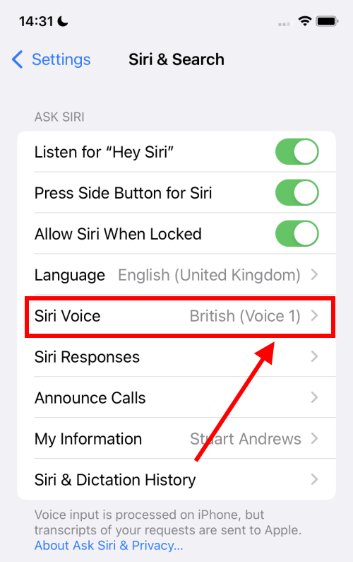 Tap Siri Voice